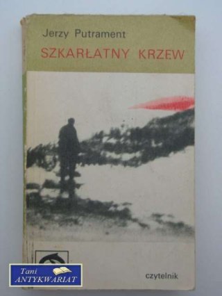 SZKARŁATNY KRZEW
