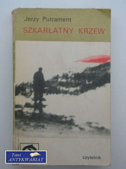 SZKARŁATNY KRZEW