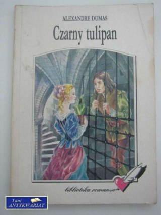 CZARNY TULIPAN