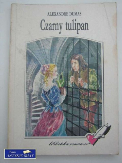 CZARNY TULIPAN