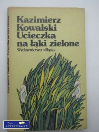 UCIECZKA NA ŁĄKI ZIELONE