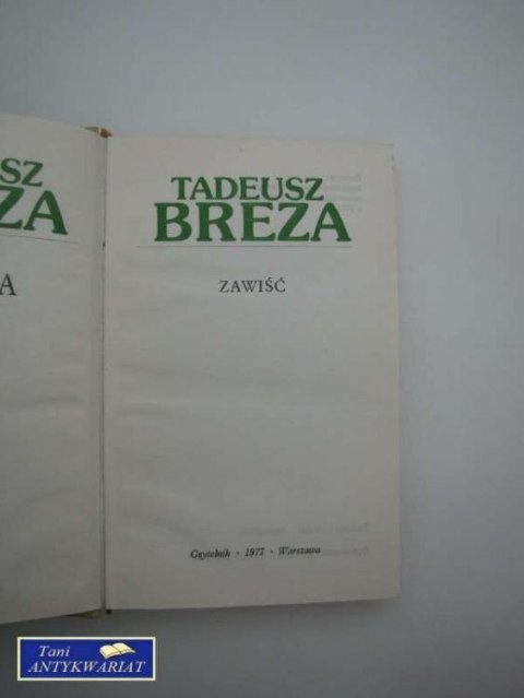 ZAWIŚĆ