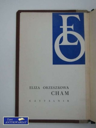 Cham nr. 4100