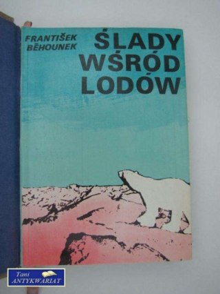 ŚLADY WŚRÓD LODÓW PODRÓŻ