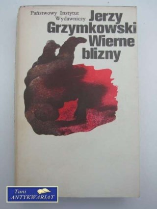 WIERNE BLIZNY