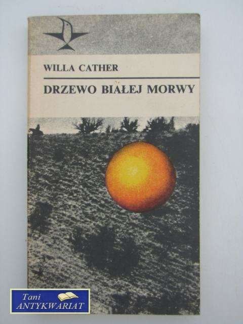 DRZEWO BIAŁEJ MORWY