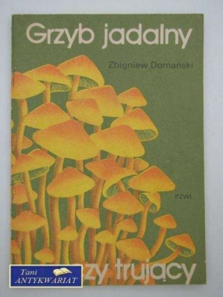 GRZYB JADALNY CZY TRUJĄCY