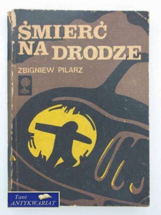 ŚMIERĆ NA DRODZE