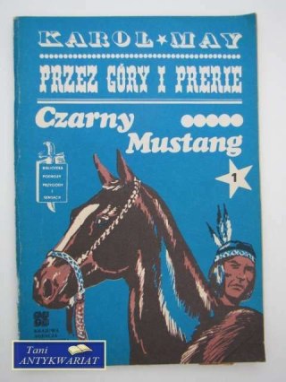CZARNY MUSTANG I