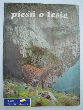 PIEŚŃ O LESIE