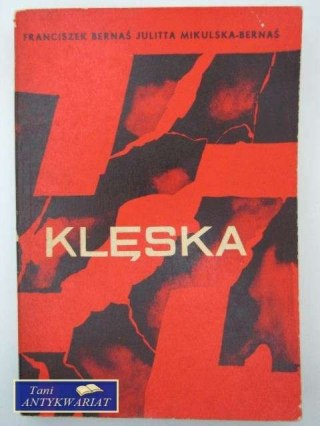 KLĘSKA