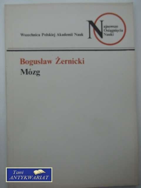 MÓZG