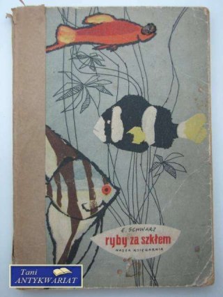 RYBA ZA SZKŁEM
