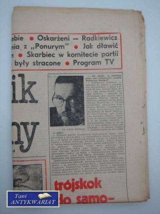 TYGODNIK KULTURALNY NR 46 - 12 listopada 1989