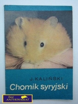 CHOMIK SYRYJSKI J. Kaliński
