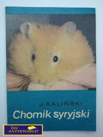 CHOMIK SYRYJSKI J. Kaliński