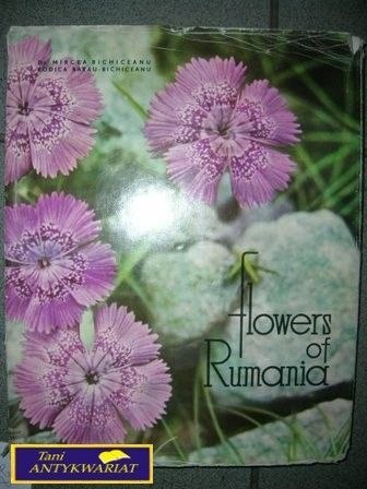 FLOWERS OF RUMANIA- Rarau- Bichiceanu