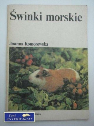 ŚWINKI MORSKIE- ZWIERZĘTA W TWOIM DOMU