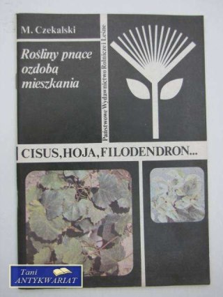 CISUS HOJA FILODENDRON