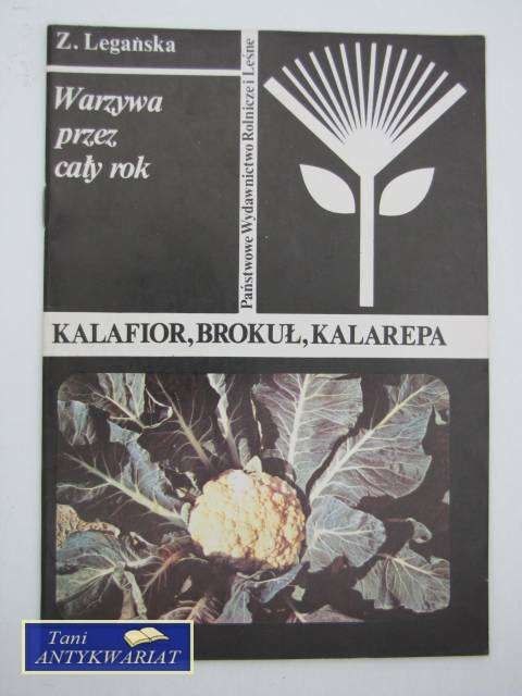 KALAFIOR BROKUŁ KALAREPA