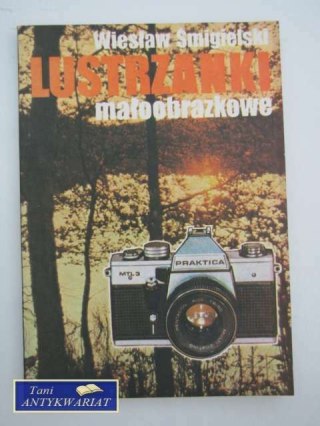 LUSTRZANKI MAŁOOBRAZKOWE