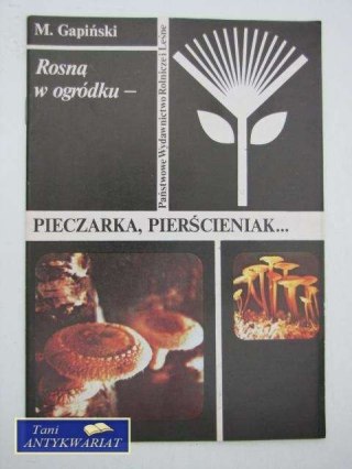 PIECZARKA PIERŚCIENIAK