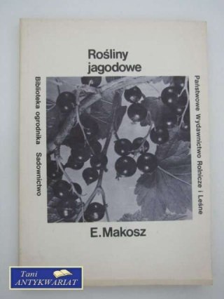 ROŚLINY JAGODOWE