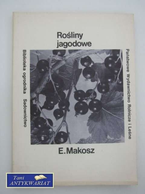 ROŚLINY JAGODOWE