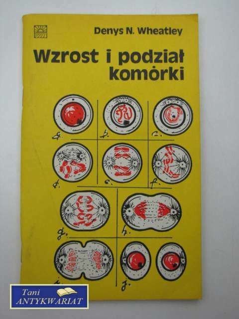 WZROST I PODZIAŁ KOMÓRKI