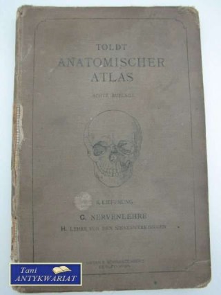 ATLAS ANATOMICZNY
