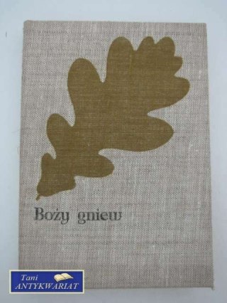 BOŻY GNIEW