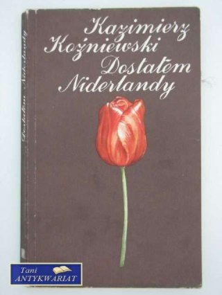 DOSTAŁEM NIDERLANDY