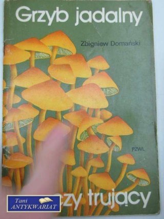 GRZYB JADALNY