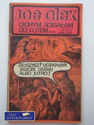 CICHYM ŚCIGAŁAM GO LOTEM