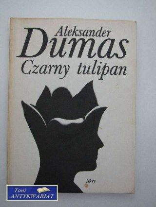 CZARNY TULIPAN