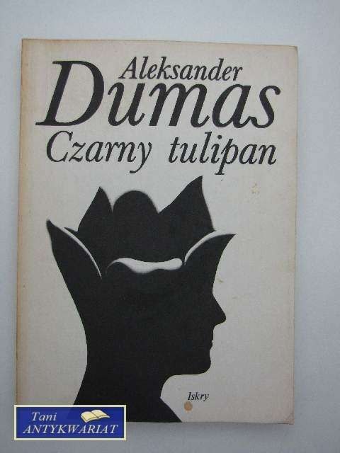 CZARNY TULIPAN