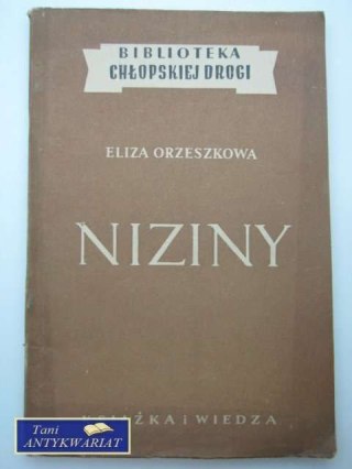 NIZINY