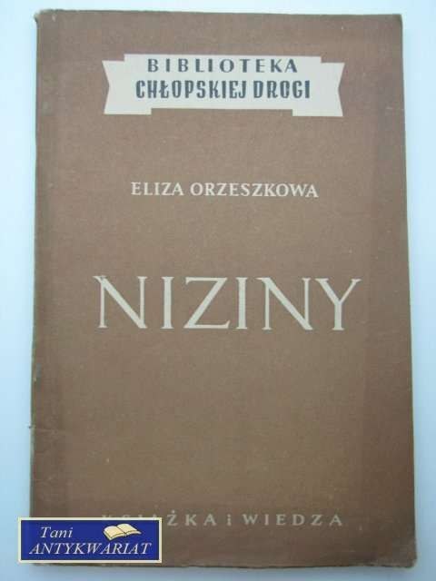 NIZINY