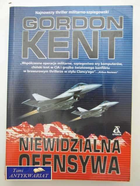 NIEWIDZIALNA OFENSYWA
