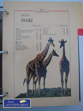 ENCYKLOPEDIA SSAKI SEGREGATOR