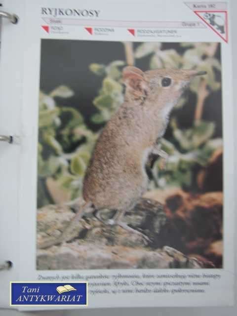 ENCYKLOPEDIA ZWIERZĄT SEGREGATOR CZ.2