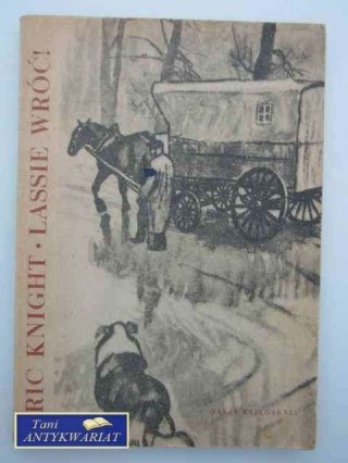 LASSIE WRÓĆ