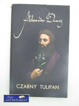 CZARNY TULIPAN