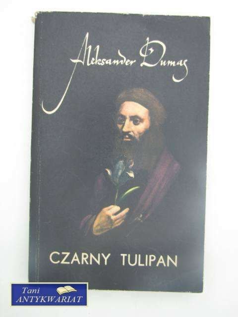 CZARNY TULIPAN
