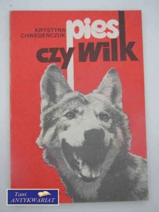 PIES CZY WILK ?