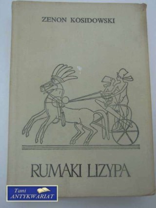 RUMAKI LIZYPA