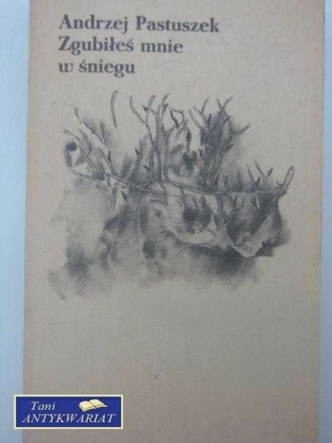 ZGUBIŁEŚ MNIE W ŚNIEGU