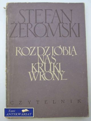 ROZDZIOBIĄ NAS KRUKI I WRONY