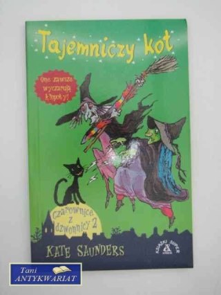 TAJEMNICZY KOT