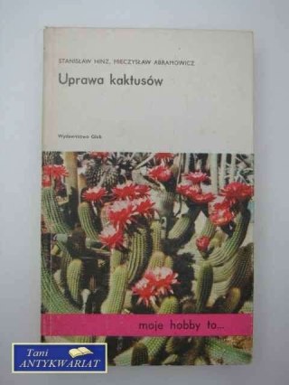 UPRAWA KAKTUSÓW